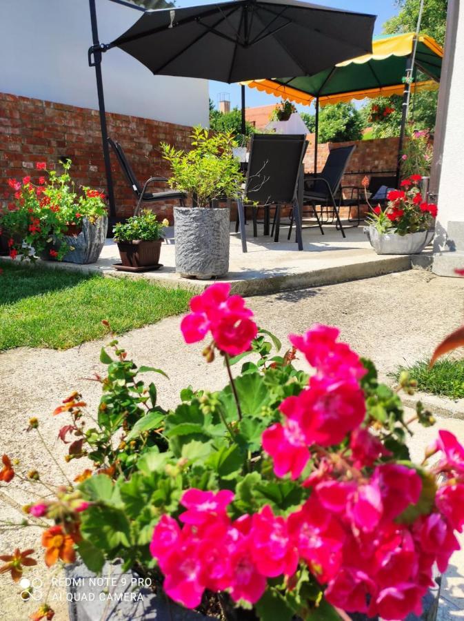 Apartman Relax Ðakovo Extérieur photo